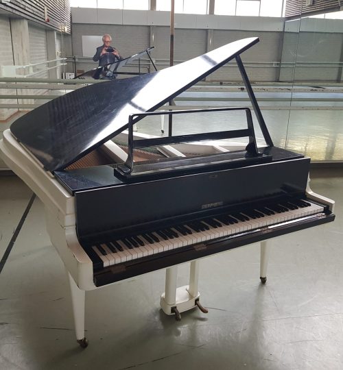 Rippen Aluminium Grand Zwart