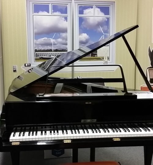 Rippen Grand Piano, Zwart in popart decor