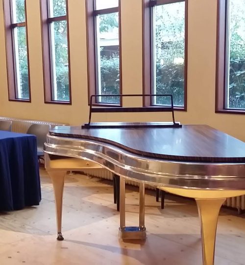 Rippen Aluminium Vleugel